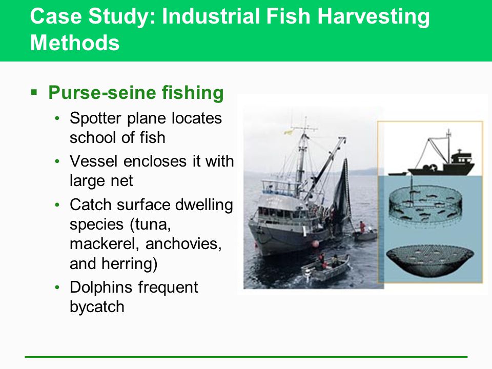Case Study on New England Fisheries